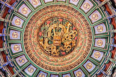 《侠盗哈姆雷特》正式预告 1月17日美国上映